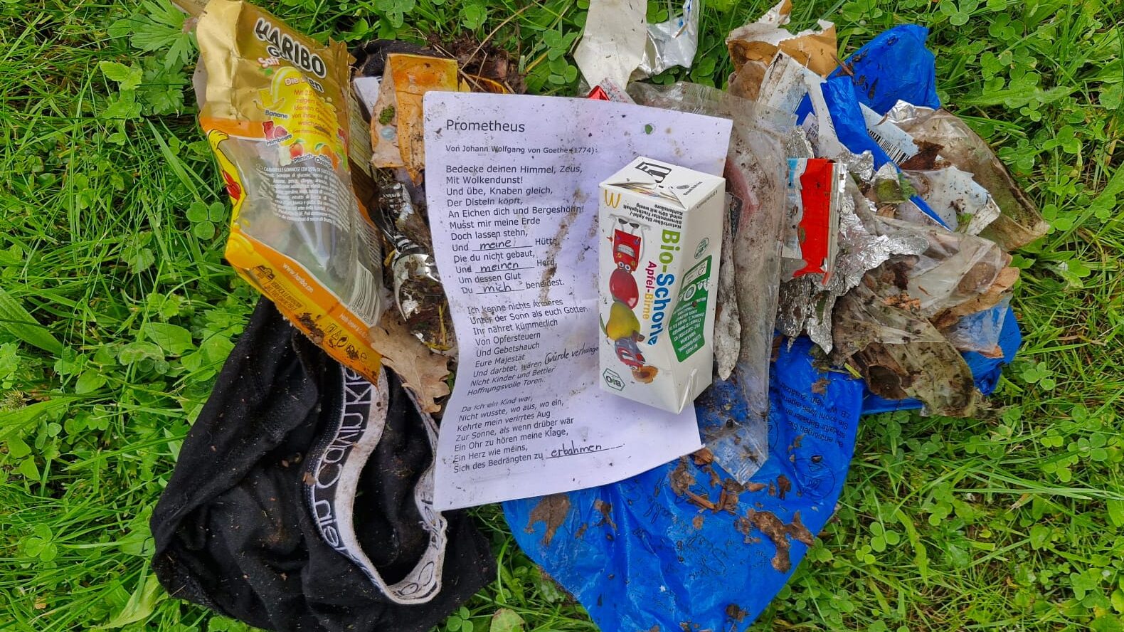 Machen Sie das beruflich?